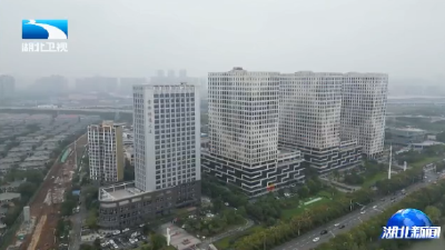 盘活国有“三资” 激活发展“一池春水”