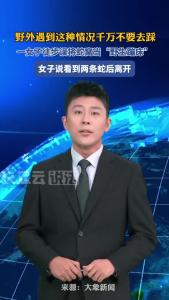 危险！一女子徒步旅行遇到了“野生蹦床”，结果是蛇窝！