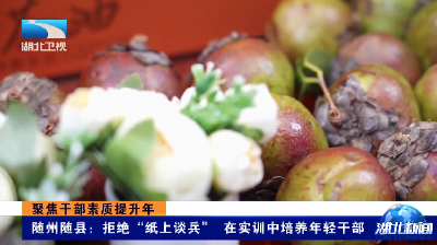 聚焦干部素质提升年 | 随州随县：拒绝“纸上谈兵” 在实训中培养年轻干部