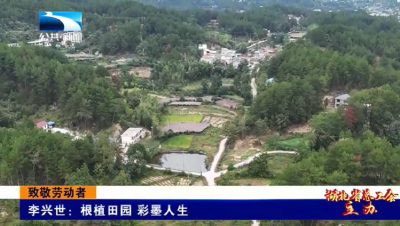 致敬劳动者丨李兴世：根植田园 彩墨人生