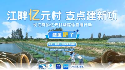 直播 | 江畔亿元村 支点建新功：鳝鱼肥了
