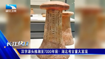 汉字源头推溯至7000年前！湖北考古重大发现