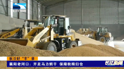襄阳老河口：开足马力烘干 保障秋粮归仓