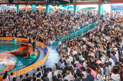 武汉极地海洋度假区以“国潮”新场景激活假日经济新动能