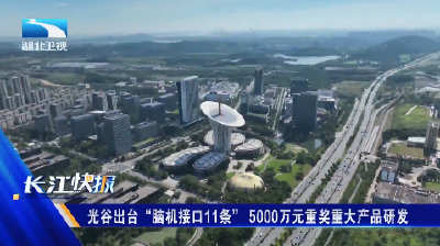 光谷出台“脑机接口11条” 5000万元重奖重大产品研发 