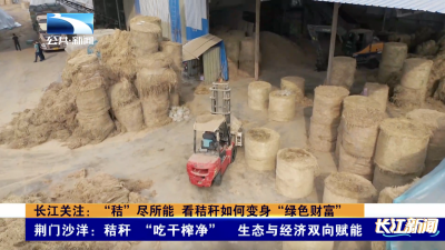 长江关注：“秸”尽所能 看秸秆如何变身“绿色财富”