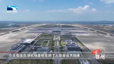 打开包裹看世界 | 支点现场：通往家乡的“桥”