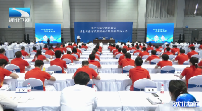 第十五届全运会湖北省体育代表团成立