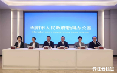 宜昌当阳：“小切口”改革优化营商环境 涉企诉求办结率超90%