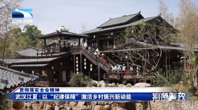 贯彻落实全会精神｜武汉江夏：以“纪律保障”激活乡村振兴新动能