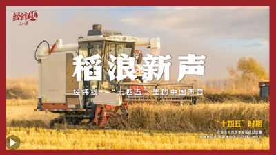 经纬线·稻浪新声