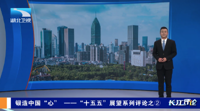 长江评论 | 锻造中国“心”——“十五五”展望系列评论之②