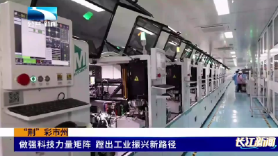 黄石大冶：做强科技力量矩阵 蹚出工业振兴新路径