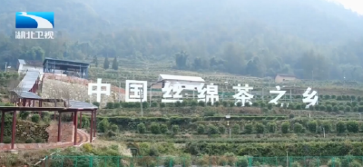 刘晓鸣赴秭归县调研强县工程实施情况