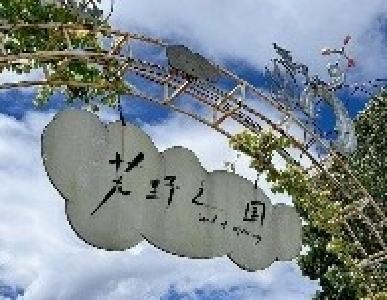 云南一景区“人体蜈蚣、三面女孩”等被指观感不适，工作人员回应