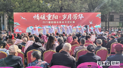 咸宁咸安：“文艺+书画”情暖重阳节
