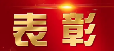 王宗源、孙佳俊、昌雅妮、郑钦文等，拟获全国先进表彰！