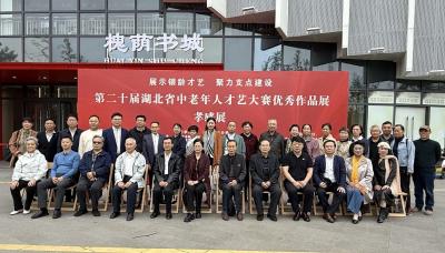 第二十届湖北省中老年才艺大赛优秀作品展在孝感开幕，银龄艺术绽放时代风采