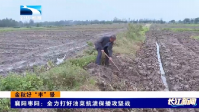 襄阳枣阳：全力打好油菜抗渍保播攻坚战