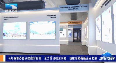 马旭明督办重点提案时强调 聚力前沿技术研发 助推专精特新企业发展