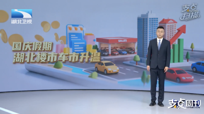 支点扫描
