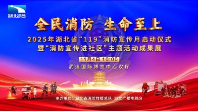 2025年湖北省“119”消防宣传月盛大启动
