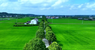 湖北公布第二批全域国土综合整治优秀案例