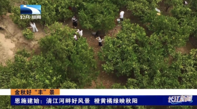恩施建始：清江河畔好风景 橙黄橘绿映秋阳