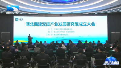 湖北民建双碳产业发展研究院成立