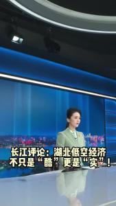 长江评论：湖北低空经济不只是“酷” 更是“实”！