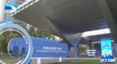 马国强强调 为加快建成支点贡献国资国企力量