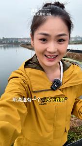汉川河蟹为何这么“横”之水下森林篇