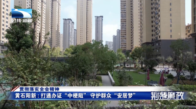 贯彻落实全会精神｜黄石阳新：打通办证“中梗阻” 守护群众“安居梦”