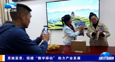 恩施宣恩：搭建 “数字驿站” 助力产业发展
