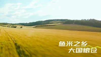 2024年湖北农博会暖场宣传片