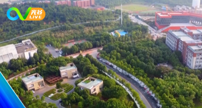 《光谷新闻》|光谷企业发布“智策大模型”，投资5亿元建设AI产业研发基地