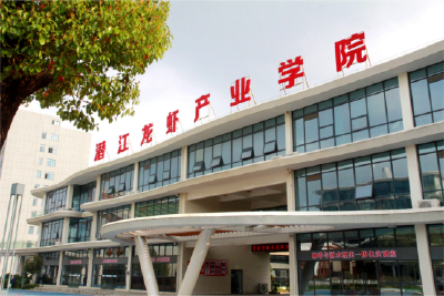 立德树人、扩容提质、产教融合……潜江建设教育强市结硕果