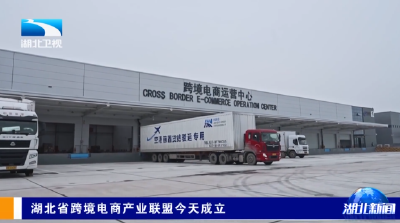 湖北省跨境电商产业联盟今天成立