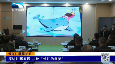 长江江豚保护日 | 探访江豚家园 共护“长江的微笑”