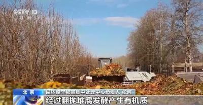 景区禁止游客捡枫叶，网友质疑“太小气”，最新回应
