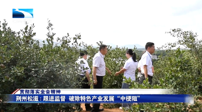 贯彻落实全会精神∣荆州松滋：跟进监督  破除特色产业发展“中梗阻”