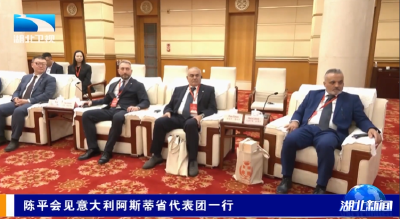 陈平会见意大利阿斯蒂省代表团一行