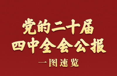 学习新语｜党的二十届四中全会公报一图速览