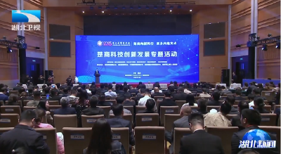 宁咏强调支持楚商创新发展  推动科技创新与民营经济双向赋能