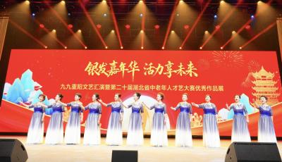 “银发嘉年华，活力享未来”九九重阳文艺汇演暨第二十届湖北省中老年人才艺大赛优秀作品展圆满举行