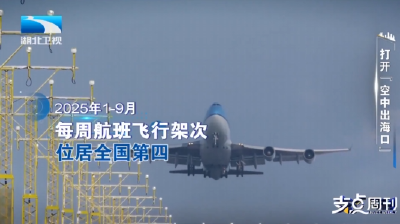 打开“空中出海口” | 支点观察：解码“花湖速度”