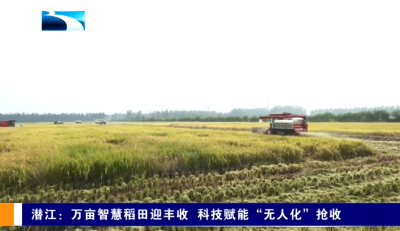 潜江：万亩智慧稻田迎丰收 科技赋能“无人化”抢收