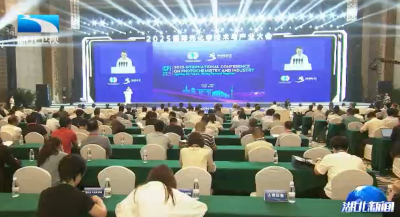 2025国际光化学技术与产业大会在武汉开幕