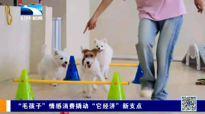 “毛孩子”情感消费撬动“它经济”新支点