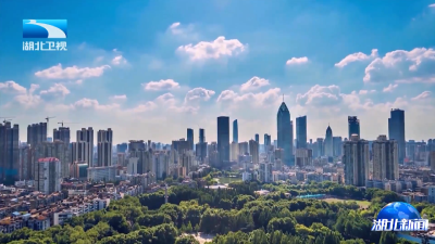 2025年10月29日湖北新闻